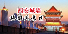 抽插逼视频欧美中国陕西-西安城墙旅游风景区